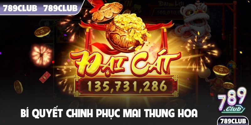 Bí quyết chinh phục Mai Thung Hoa